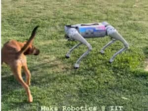 dog robot